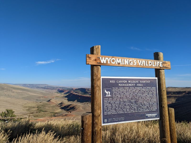 Red Canyon Scenic Byway, Near Gunnison And Crested Butte