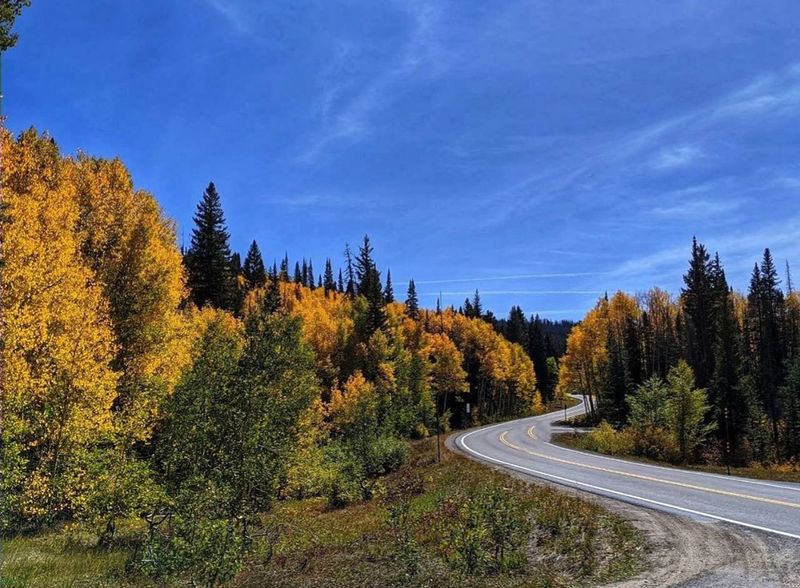 Grand Mesa Scenic Byway — Cedaredge / Mesa County / Western Colorado