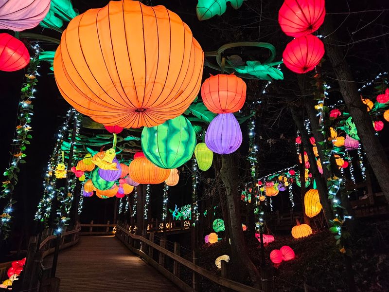 Grand Rapids Lantern Festival, Grand Rapids Grand Rapids Lantern Festival, Grand Rapids
