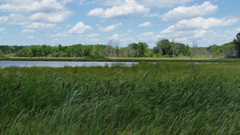 Grand River Wildlife Area, West Farmington
