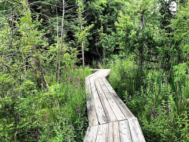Grand Traverse Natural Education Reserve