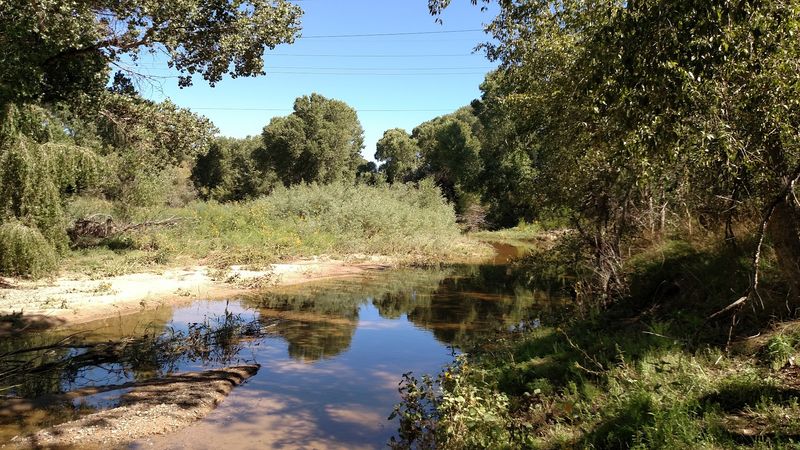 Granite Creek and the Sound of Moving Water