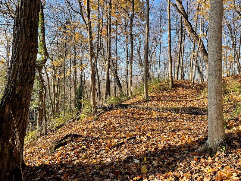 Granville And Sugar Loaf Park