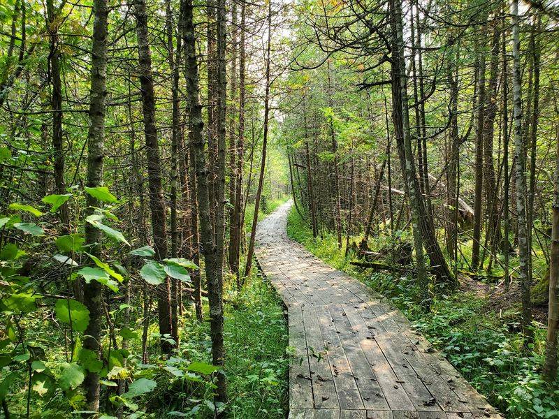 Grass River Natural Area