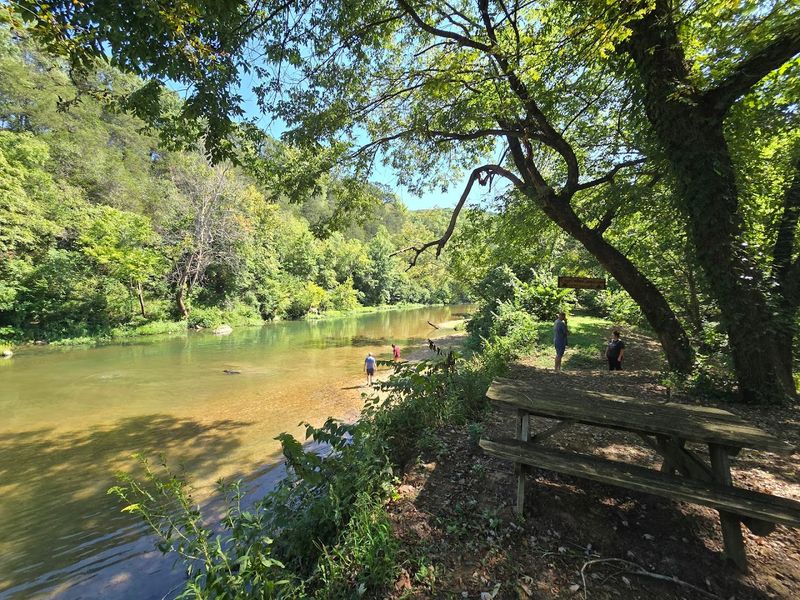 Gravel Bars Made For Slow Wandering