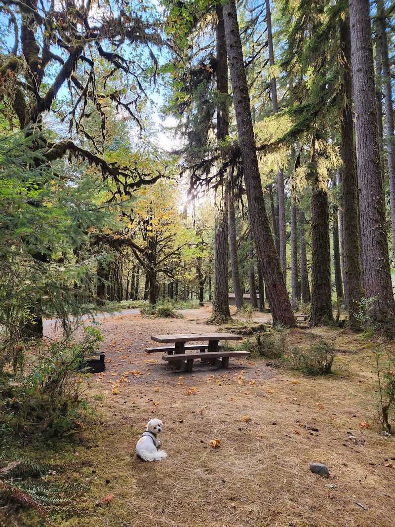 Graves Creek Campground