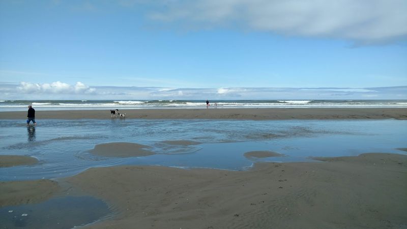 Grayland Beach State Park, Grayland