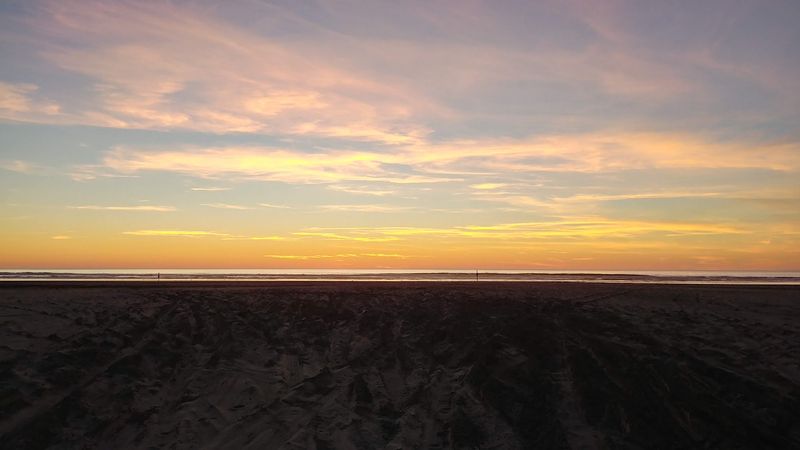 Grayland Beach State Park, Grayland, WA