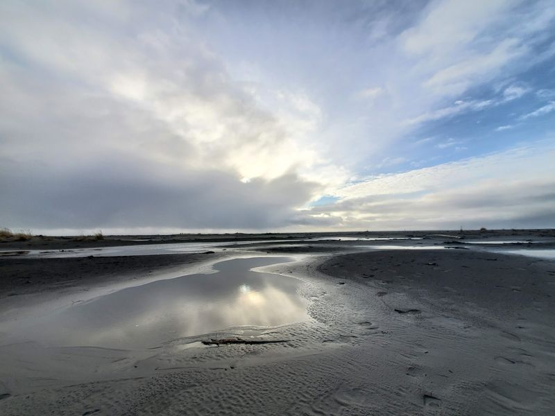 Grayland Beach State Park, Grayland, WA
