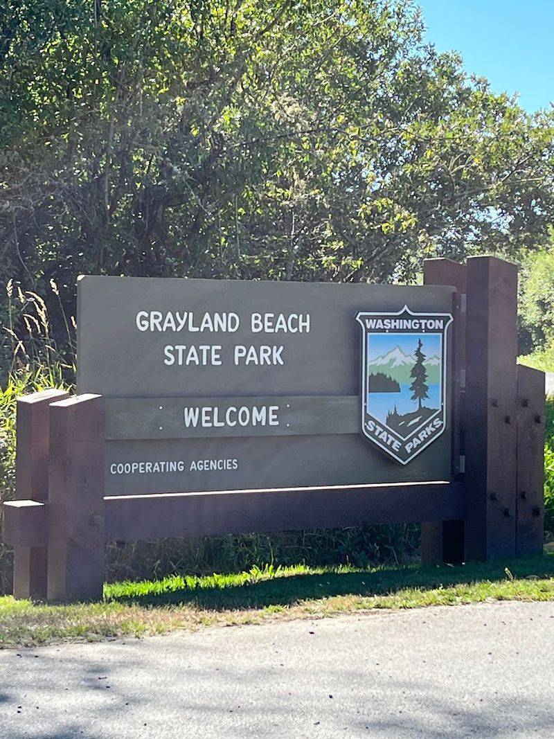Grayland Beach State Park, Grayland, Washington Grayland Beach State Park, Grayland, Washington