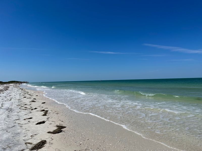 Honeymoon Island State Park Campground