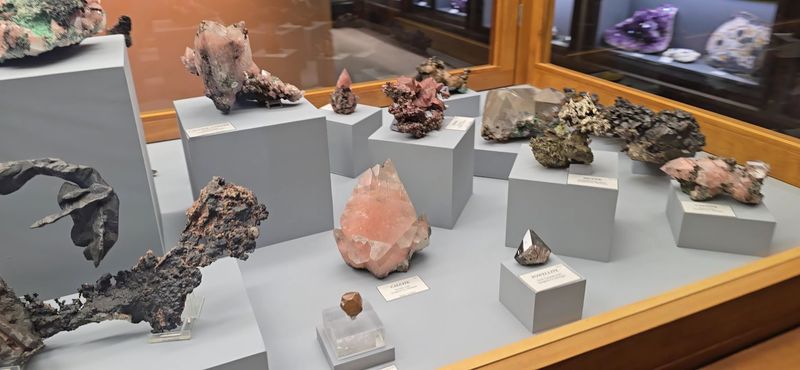 Designing For Curious Kids