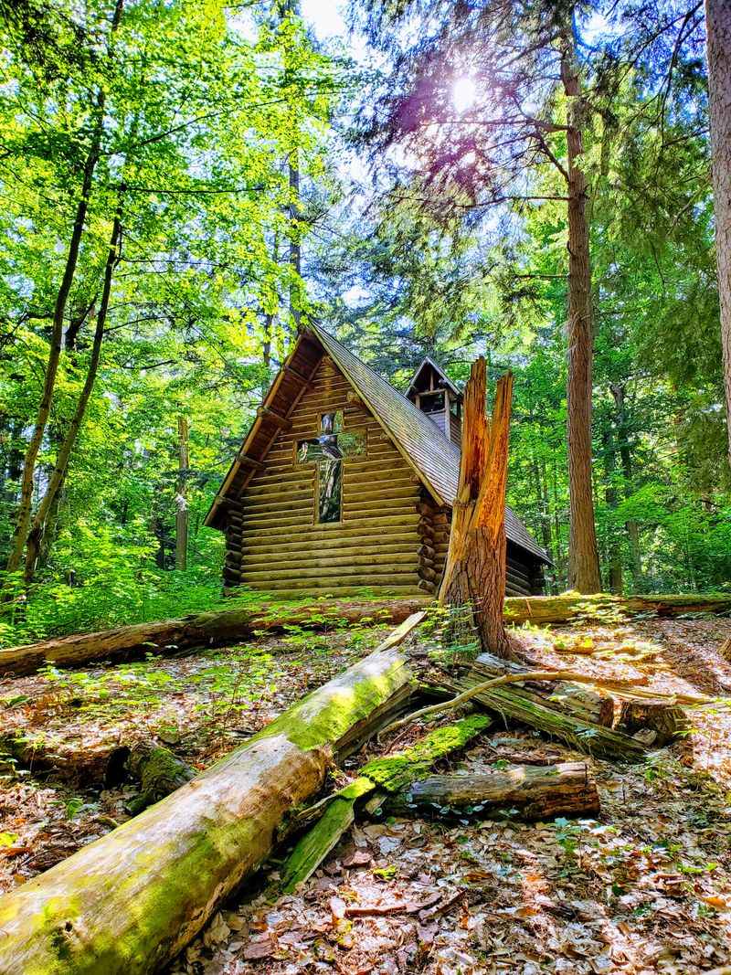 Hartwick Pines State Park