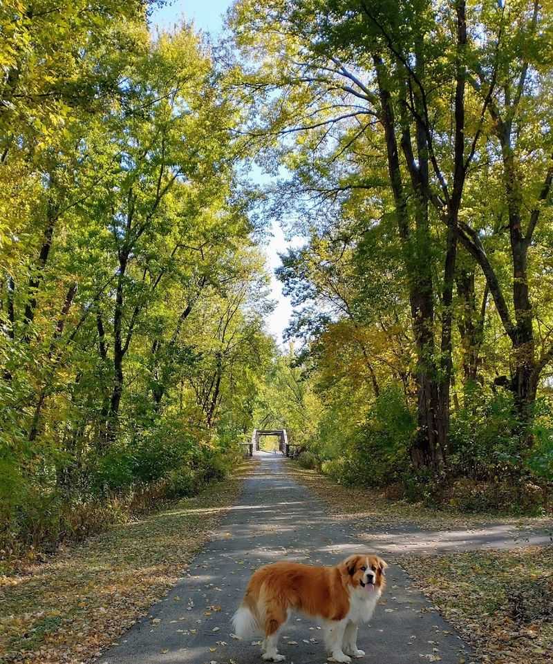 Great River Trail, Rock Island to Savanna