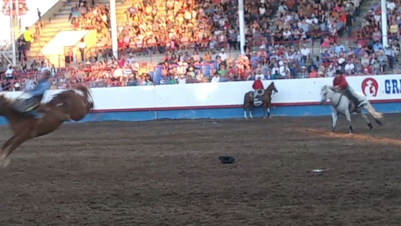 Greeley Stampede