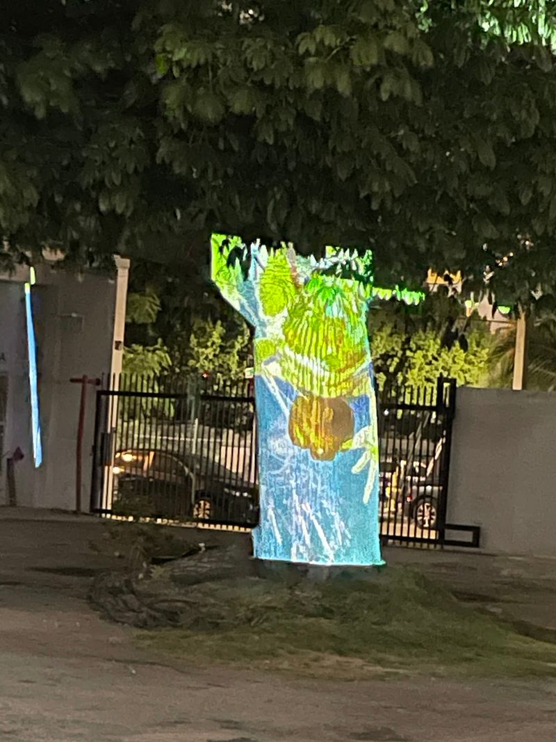 Green Corners And Family Fun