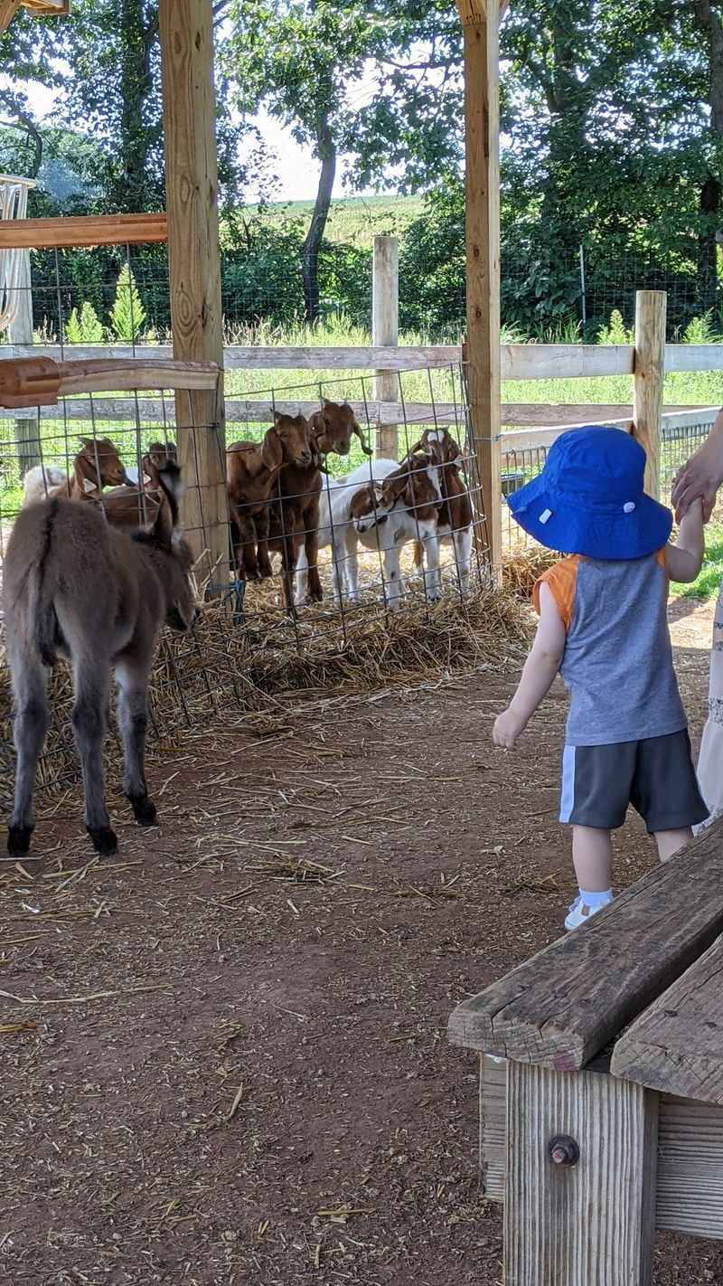 Green Horse Farm Animal Park & Petting Zoo, Dornsife, Pennsylvania