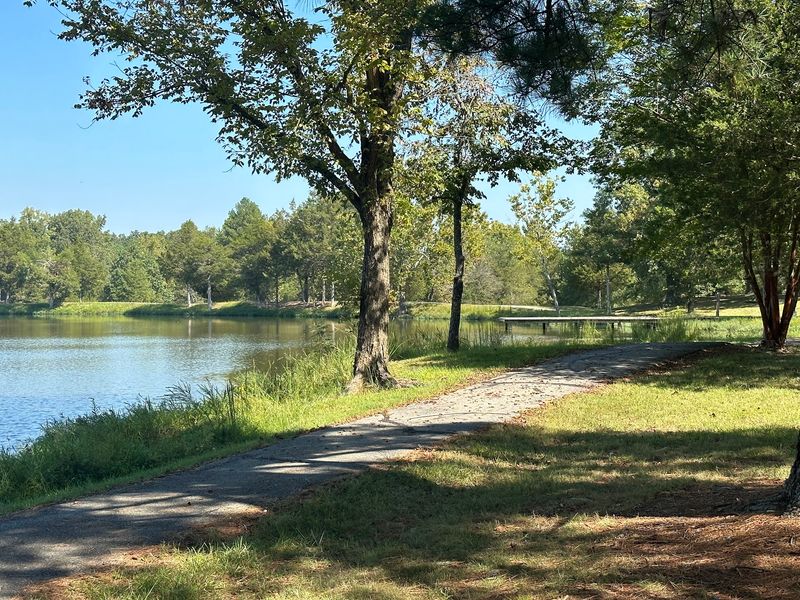 Green Spaces Made For Easy Afternoons