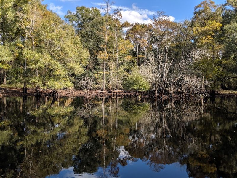 Green Swamp Wilderness Preserve