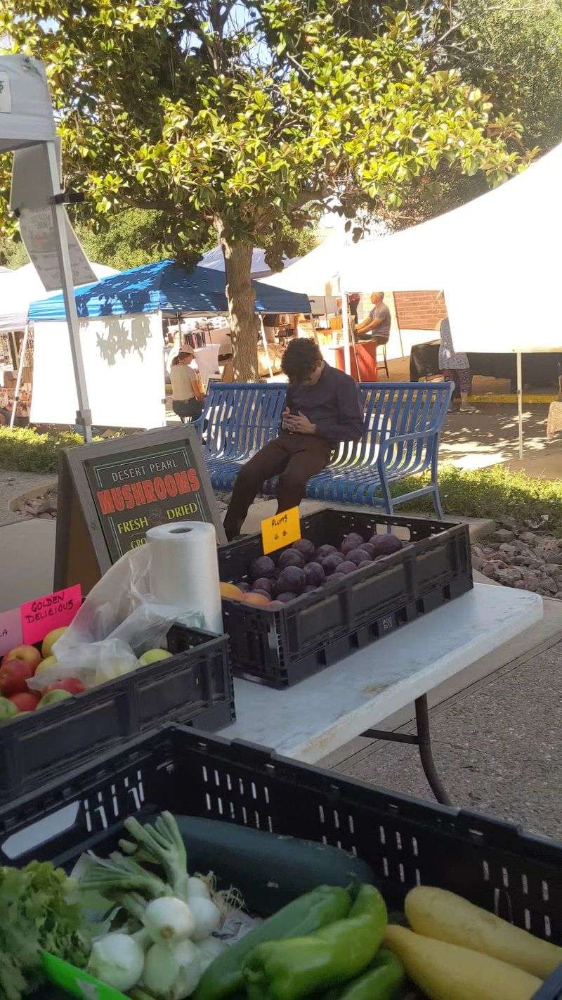 Green Valley Farmers & Artisans Market, Green Valley, Arizona