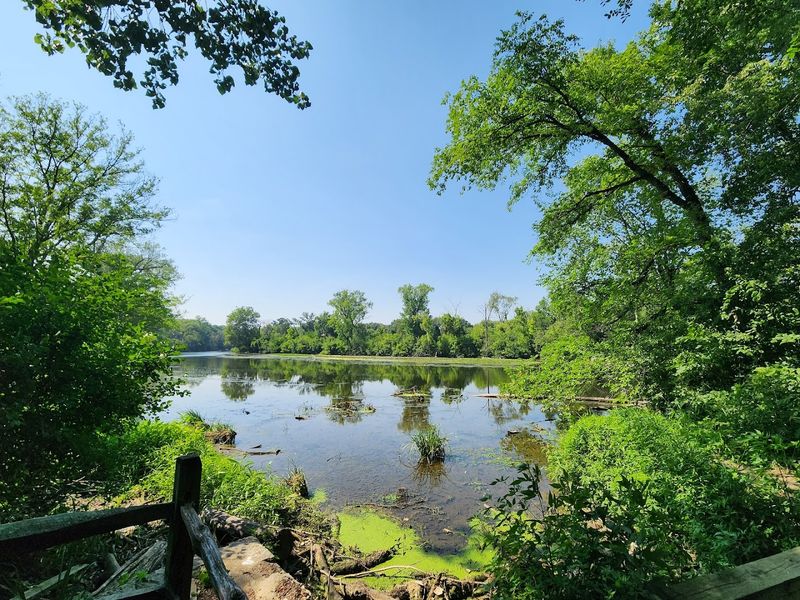 Fullersburg Woods Forest Preserve, Oak Brook, Illinois