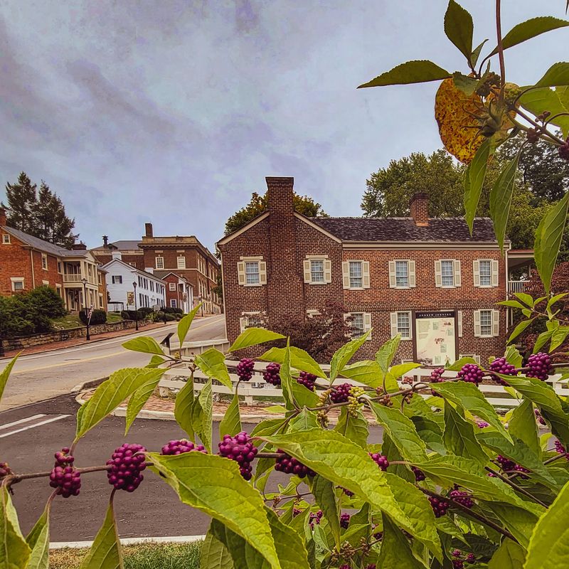 Greeneville