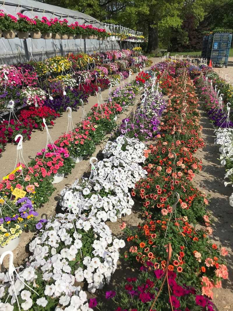 Greenhouse Color Through The Year