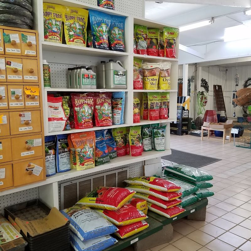 Helpful Staff Offering Plant Care Tips And Garden Advice