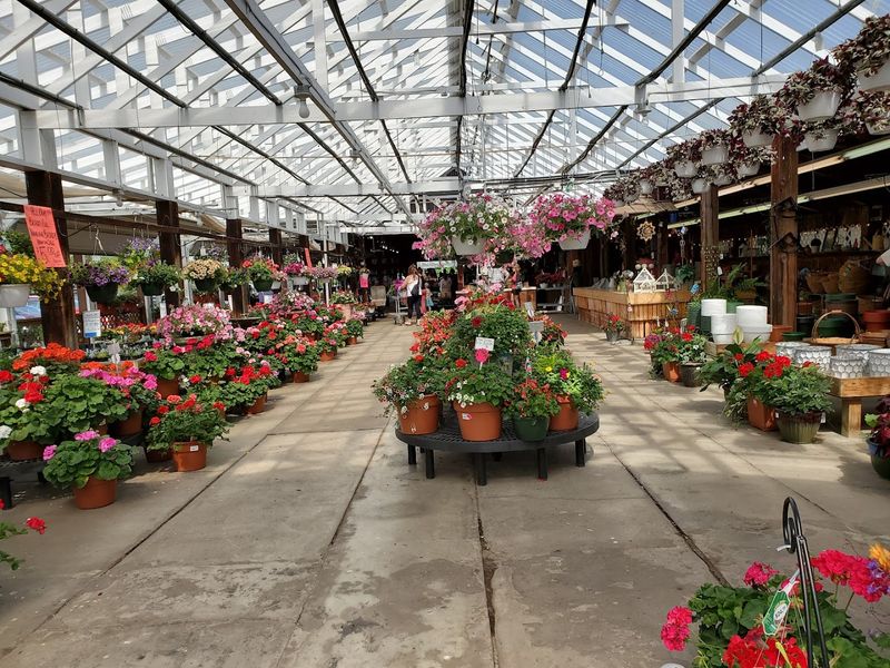 Greenhouse Errand, Garden-Center Consequences