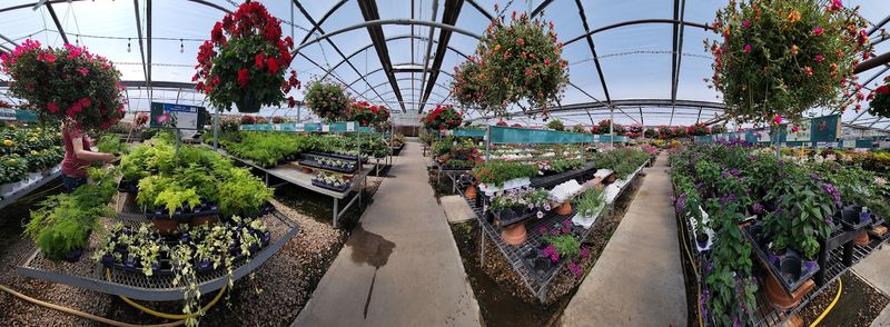 Greenhouse Growing Since 1971 Gives The Place Its Backbone