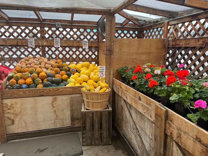 Greenhouse Strolls And A Nursery Full Of Native Plants