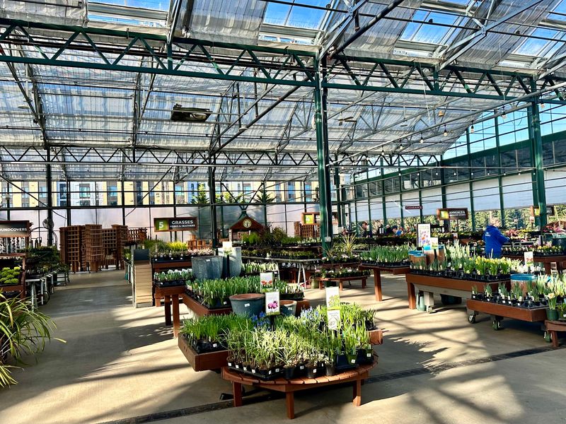 Greenhouses Packed With Pacific Northwest Favorites Greenhouses Packed With Pacific Northwest Favorites