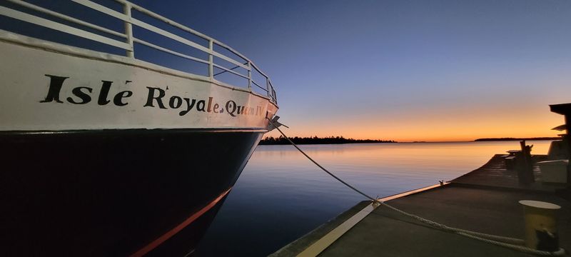 Moose, Wolves, And Quiet Wildlife Etiquette