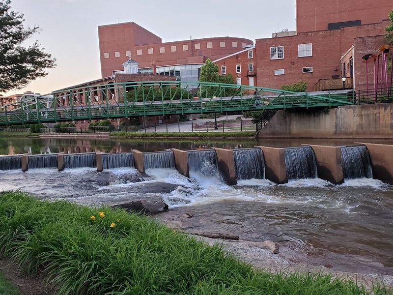 Greenville's Downtown Connection