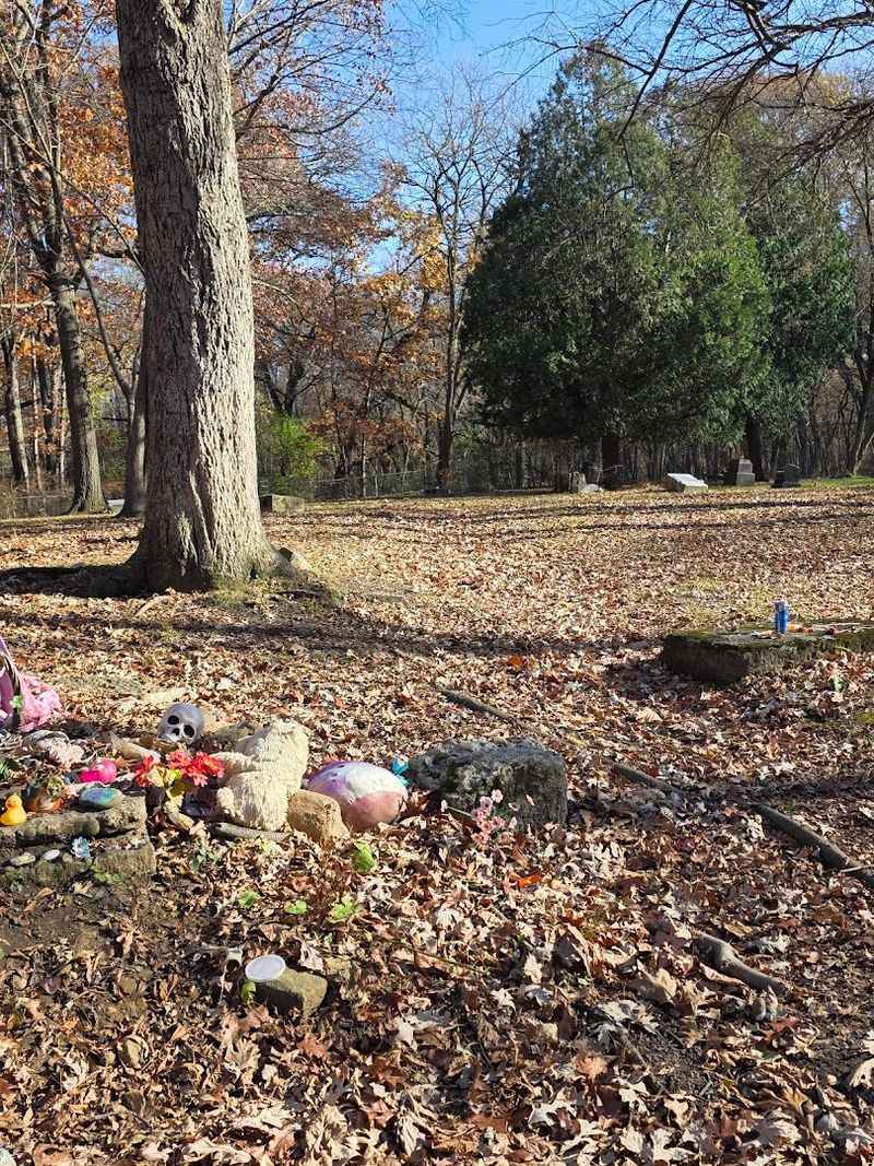 Bachelor's Grove Cemetery, Midlothian