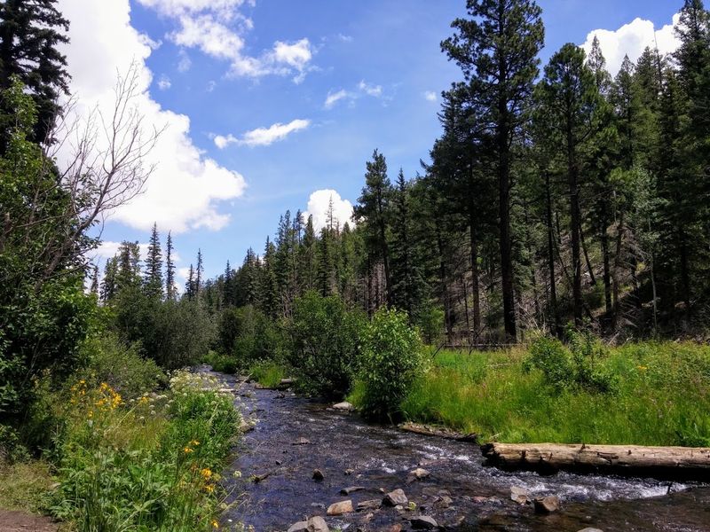 Greer, Arizona