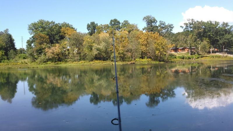 Fly Fishing The Little Red River Felt Like Unlocking A Secret Level