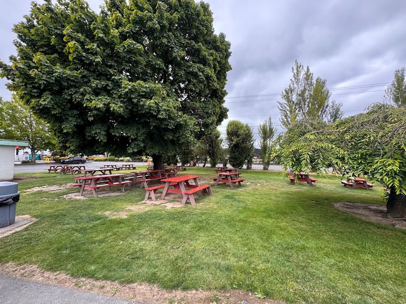 The Charming Outdoor Seating Area