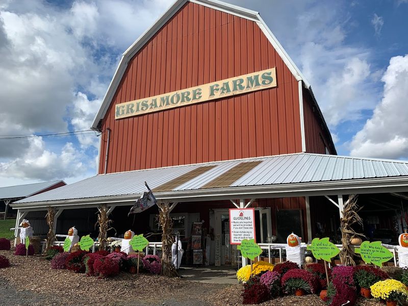 Grisamore Farms