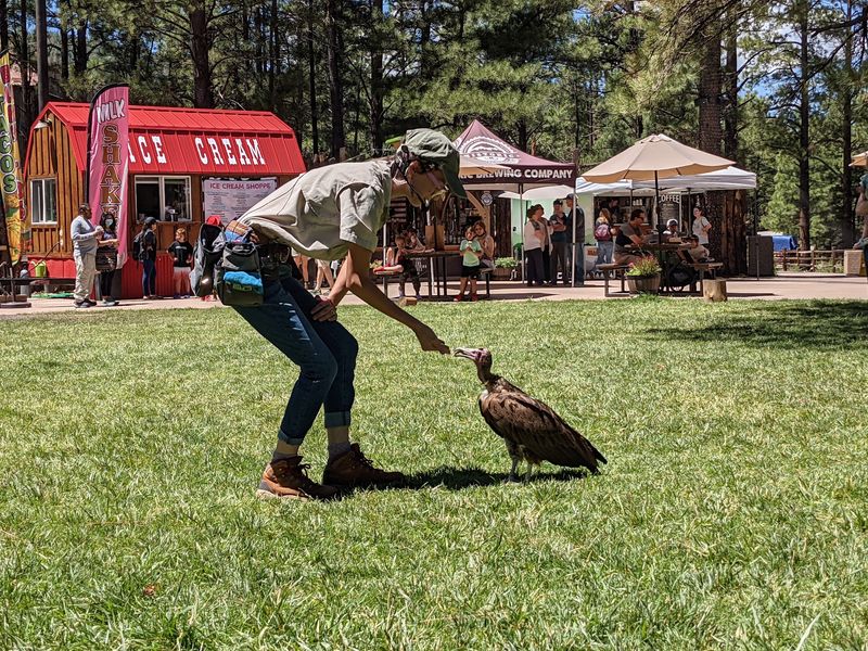 Grizzly Talks, Raptor Shows, and Keeper Encounters