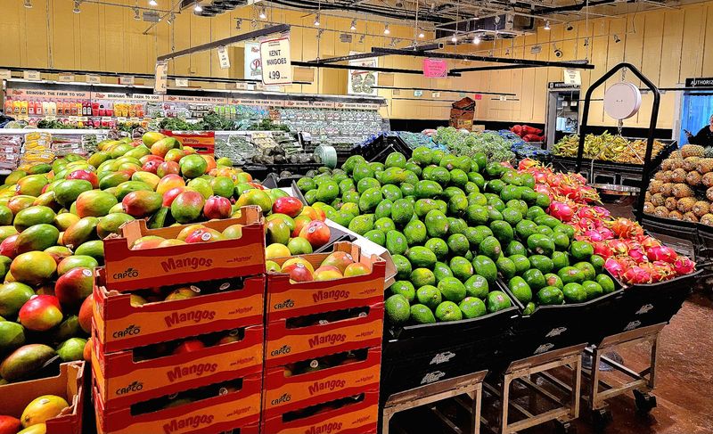 Grocery And Everyday Bills That Stay Gentle Grocery And Everyday Bills That Stay Gentle