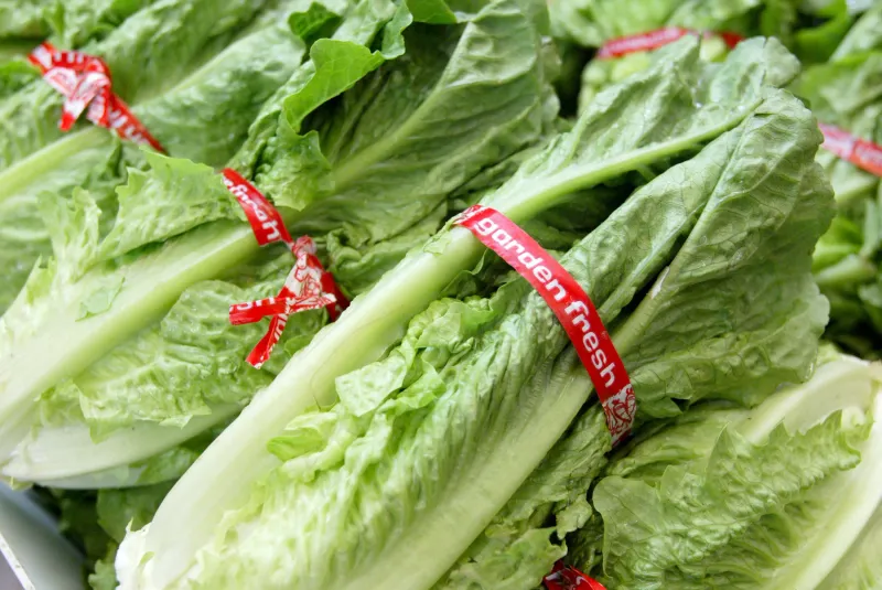 Romaine Lettuce: The Repeat Offender