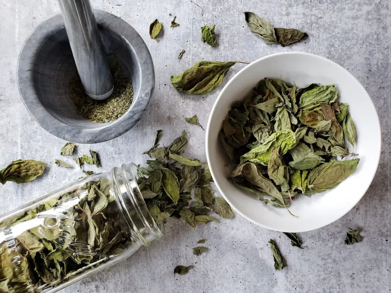 Dried Herbs: Basil's Rapid Decline