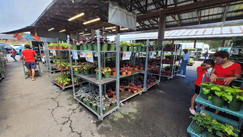 Grower's Outlet LLC