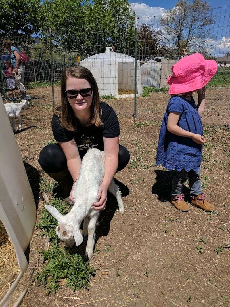 What The Hour-Long Tour Actually Covers