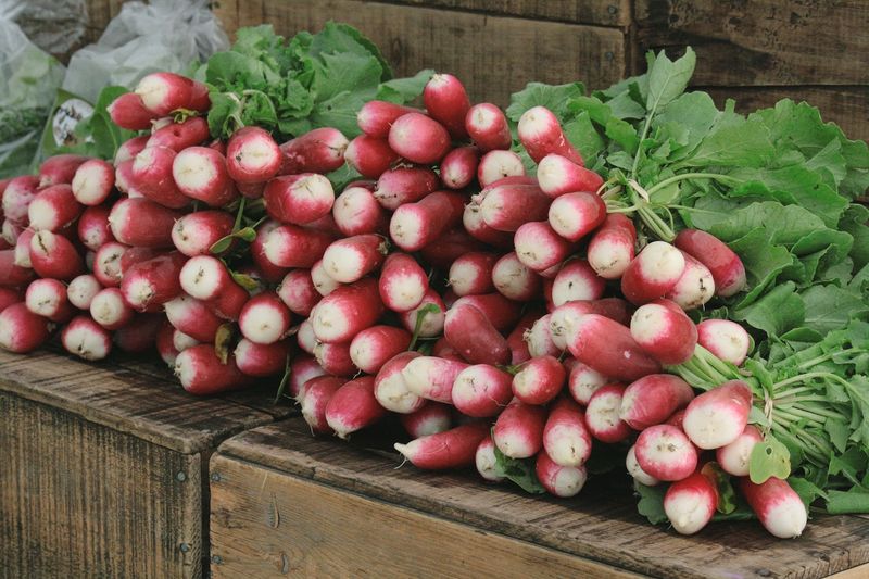 Grown In Maine, Picked For You Grown In Maine, Picked For You