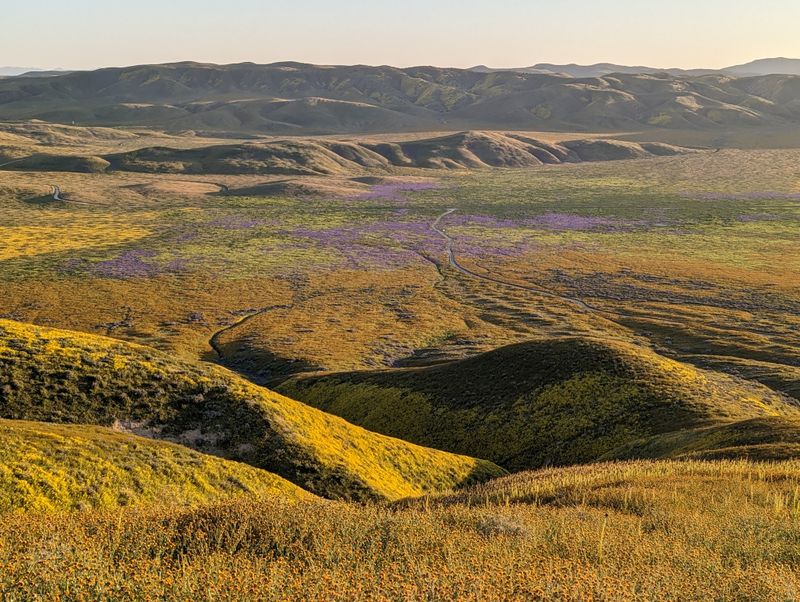 Carrizo Plain National Monument, California Valley