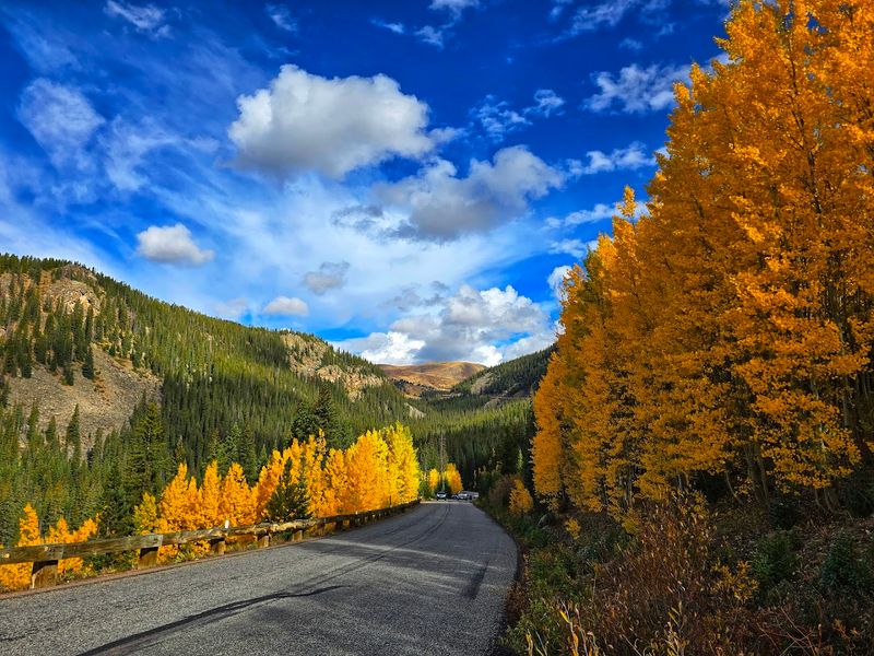 Guanella Pass Scenic Byway: Georgetown to Grant