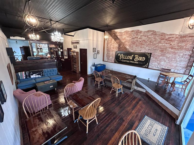Yellow Bird Coffee House – Springfield