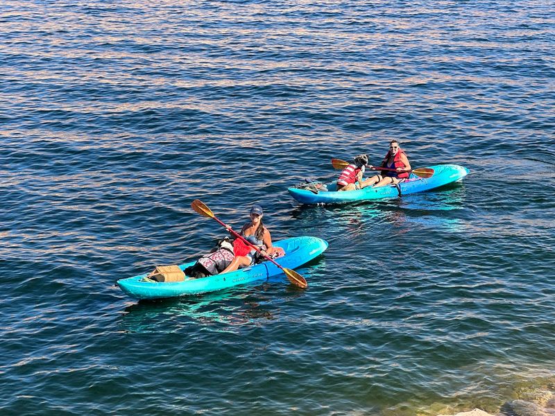 Three-Hour Kayaking And Swimming Tour
